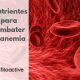 Anemia - Principais características